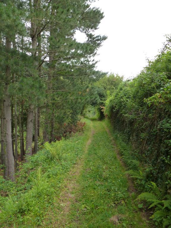 Viviendas Rurales Aldea De Dosamantes Pesaguero-La Parte Luaran gambar